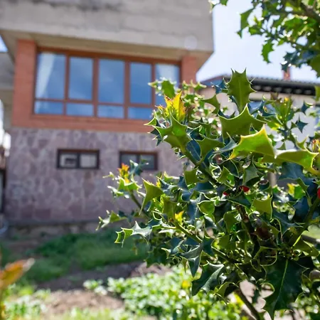 Semesterbostad La Casa De Chachi